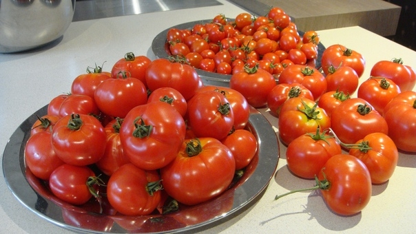 7 маленьких секретов выращивания вкусных помидоров