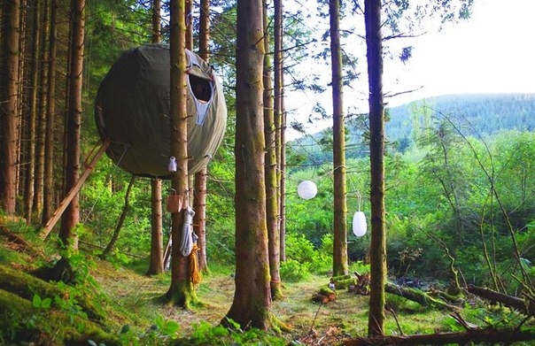 Для любителей нестандартного отдыха: эко-палатка, подвешенная между деревьев.