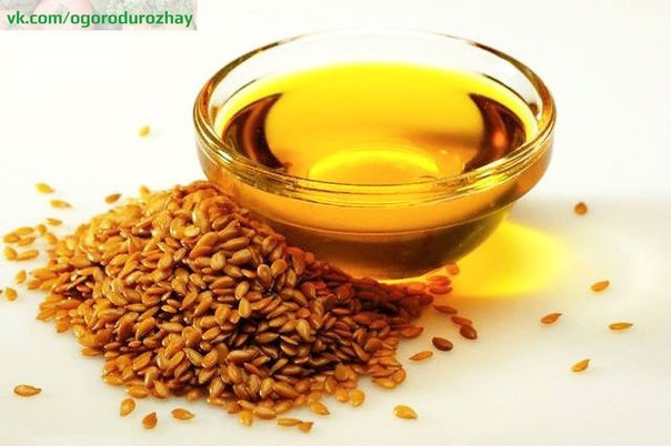 Льняное масло: польза и свойства, применение и лечение льняным маслом
