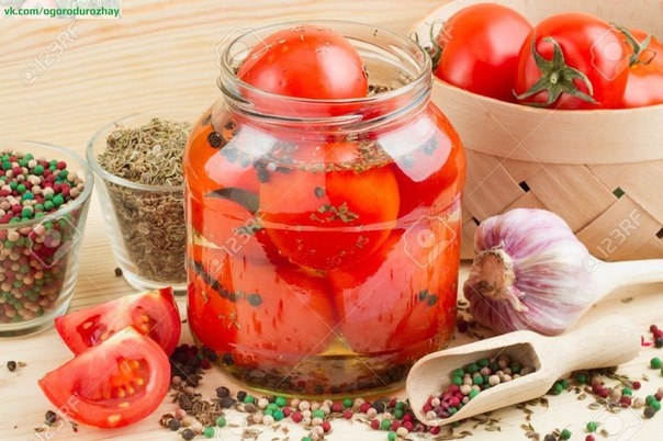 20 рецептов консервации помидор на зиму
