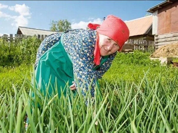 Бабушку не купишь в магазине,