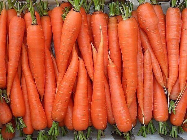 Для морковки - марганцовка !!!