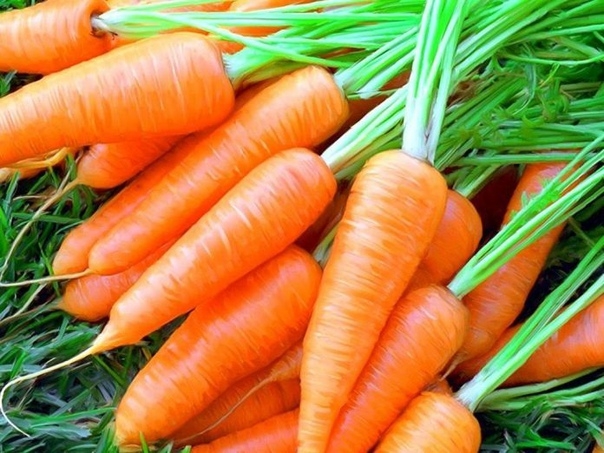 Лекарство из моркови — вкусное лечение от многих болезней!