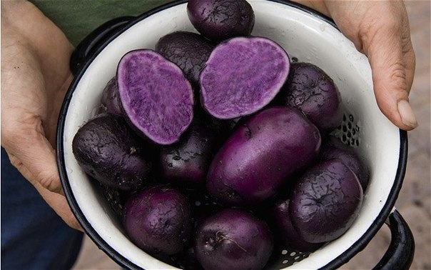 А вы знаете, что бывает фиолетовый картофель?