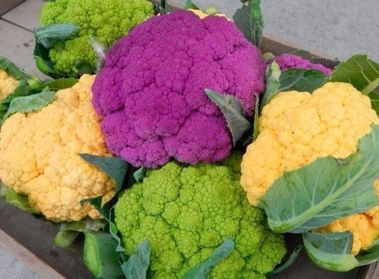 По мнению диетологов, наибольшую пользу нашему организму из всех овощей принесет цветная капуста.