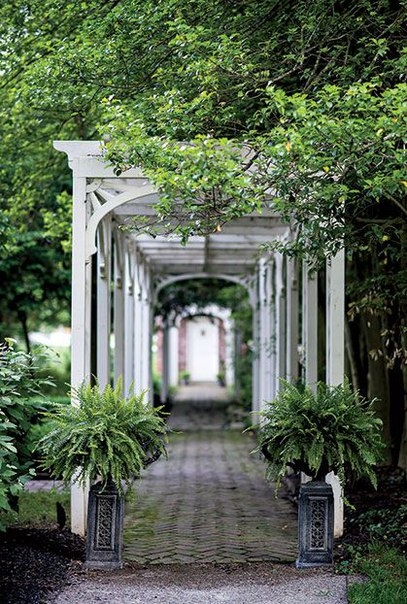 Французский живой зеленый тоннель - берсо - будет уместен только на большом участке. Но его постройка придаст саду особый шарм и дворцовую роскошь. Его можно установить, например, от ворот до двери дома.