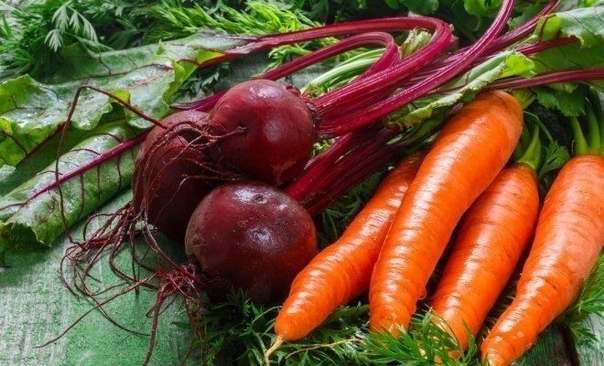 Пять лучших средств для подкормки свеклы и моркови: