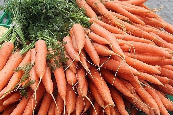 Сохраним морковь до следующего урожая