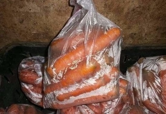 Как хранить морковь