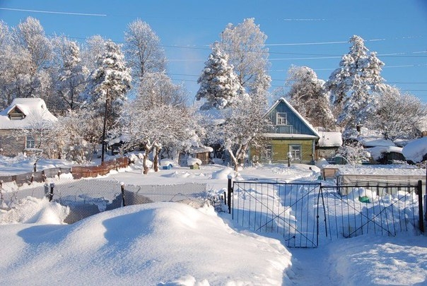 Работы в саду и огороде в феврале.