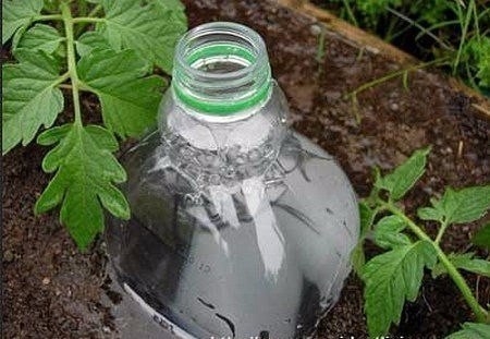 Простые способы поливов из пластиковых бутылок