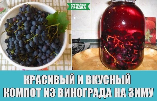 Красивый и вкусный компот из винограда на зиму