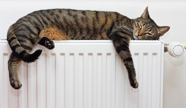 Как сделать погоду в доме комфортней, как сделать утепление и вентиляцию таким образом, чтобы вам было комфортно?