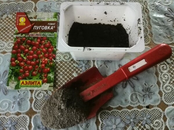 Что можно добавить в почву при посеве помидор на рассаду?