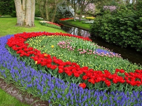 Тюльпаны в дизайне сада – как красиво посадить эти весенние цветы в саду.