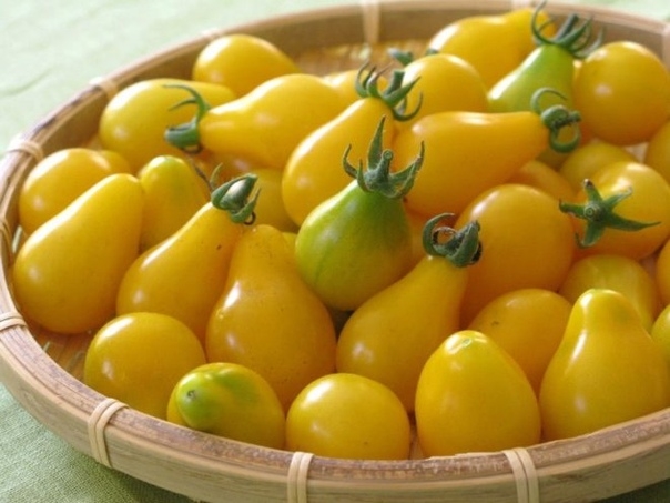 Желтые томаты для средней полосы.