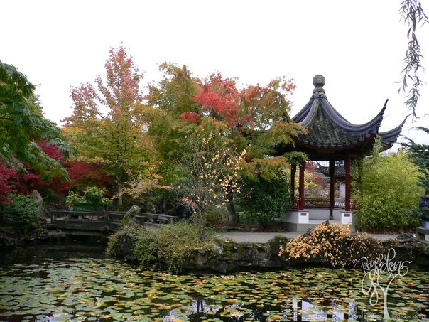 Кита́йский сад — стиль ландшафтного сада, который формировался на протяжении трёх тысяч лет. Это понятие включает в себя как огромные сады императорской семьи, разбитые произвести впечатление, так и более интимные сады учёных, поэтов, бывших правительстве