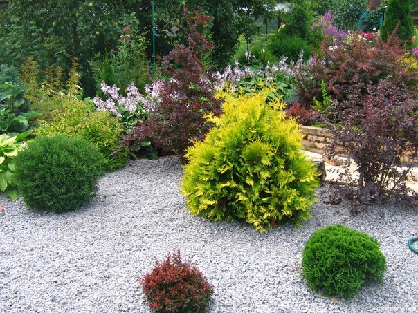 Что делать, если хочется красивый сад, а для постоянного ухода нет времени и желания Сделайте цветочные клумбы с использованием гравия!
