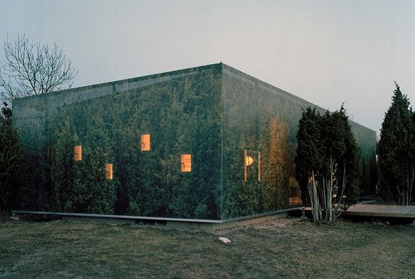 Слиться с природой: дом в зеленом «камуфляже».