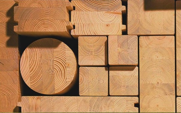 Породы древесины, применяемые в строительстве деревянных домов