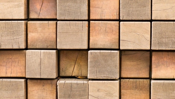 Особенности древесины, как строительного материала