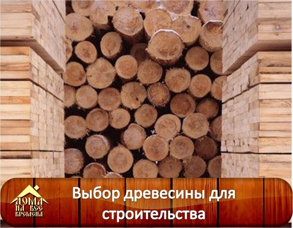 Сруб бани испокон веков готовили из стволов древесных пород, произрастающих в могущественных лесах России. Сегодня существуют противоречия по поводу выбора лучшего дерева для изготовления бани...