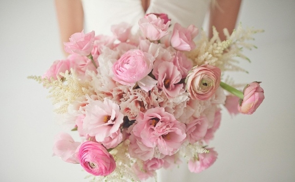Ранункулюс – цветы невест