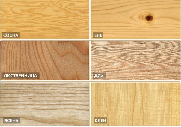 6 пород древесин и их сильные стороны