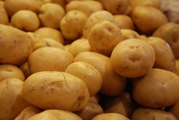 Как вырастить богатый урожай картофеля на собственной грядке?