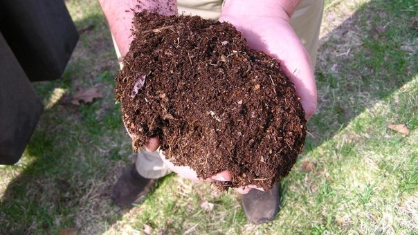 Как сделать почву более плодородной?