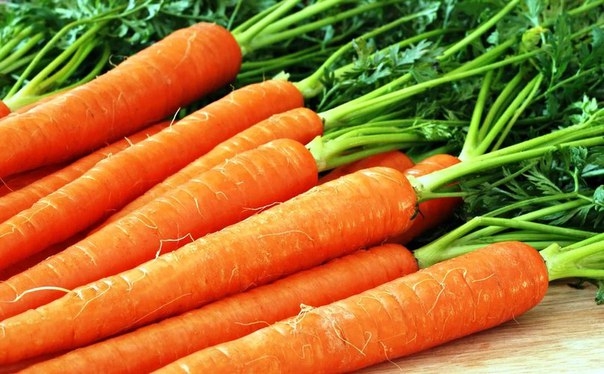 Секреты хорошей моркови.