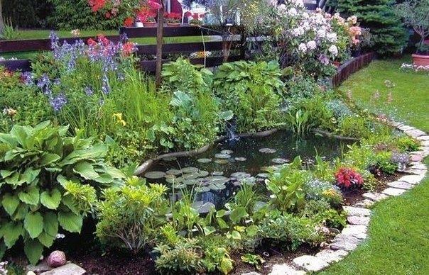 Какие растения посадить у садового пруда!