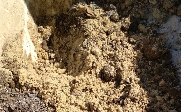 Какой песок лучше всего использовать на даче и как его подготовить к внесению в почву?