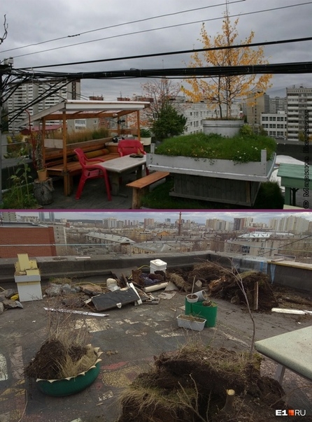 18 лет назад в квартире жителя Екатеринбурга протекла крыша. Переговоры с коммунальщиками результата не дали, и он решил починить кровлю сам. А заодно разбил на крыше 9-этажки симпатичный сад с деревьями и цветами.