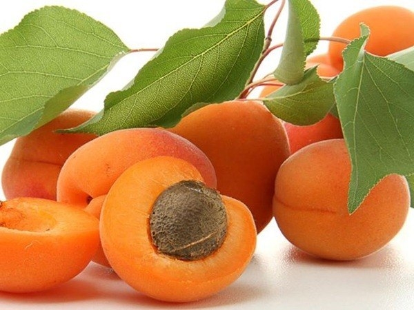 Полезные свойства абрикоса