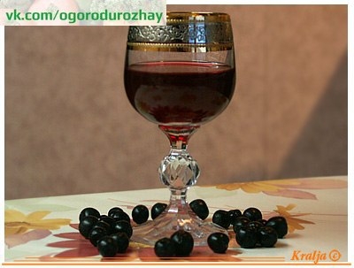 Смородина черная и настойка на водке ягод, листьев, почек смородины