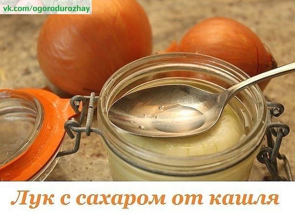 Почему лук помогает от кашля?