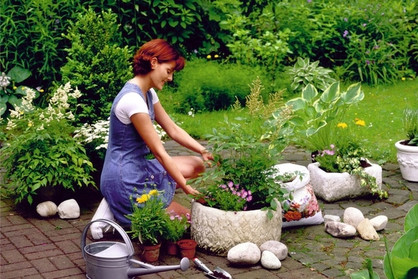 Как «вдохнуть жизнь» в садовые многолетники